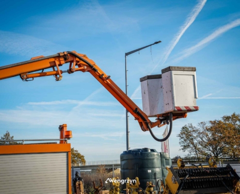 WhatsApp Image 2025-10-30 at 09.17.43 (6)